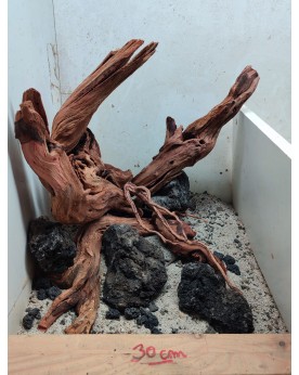 Hardscape Sur Photo - HS1 Hardscape sur photo HS-1. Composition à b...