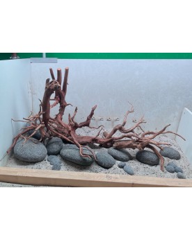 Hardscape Sur Photo - HS8 Hardscape sur photo. Les Hardscapes sur P...