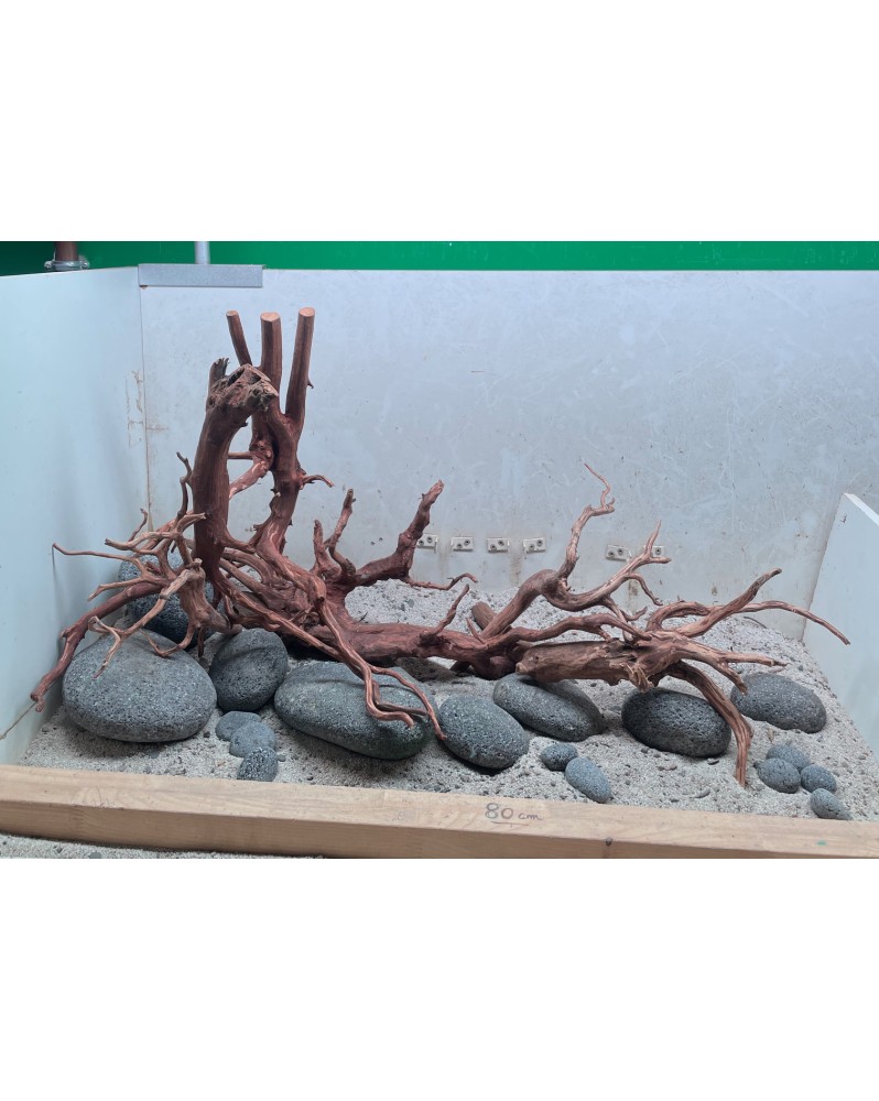 Hardscape Sur Photo - HS8 Hardscape sur photo. Les Hardscapes sur P...