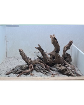 Hardscape Sur Photo - HS2  Composition à base de racines dark snake...