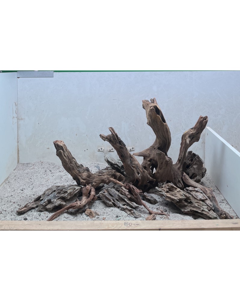 Hardscape Sur Photo - HS2  Composition à base de racines dark snake...