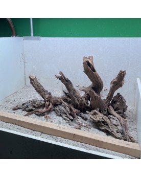 Hardscape Sur Photo - HS2  Composition à base de racines dark snake...