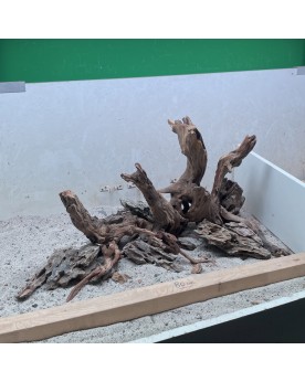 Hardscape Sur Photo - HS2  Composition à base de racines dark snake...