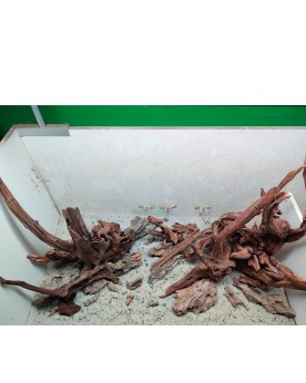 Hardscape Sur Photo - HS1 Hardscape sur photo HS-1. Composition à b...