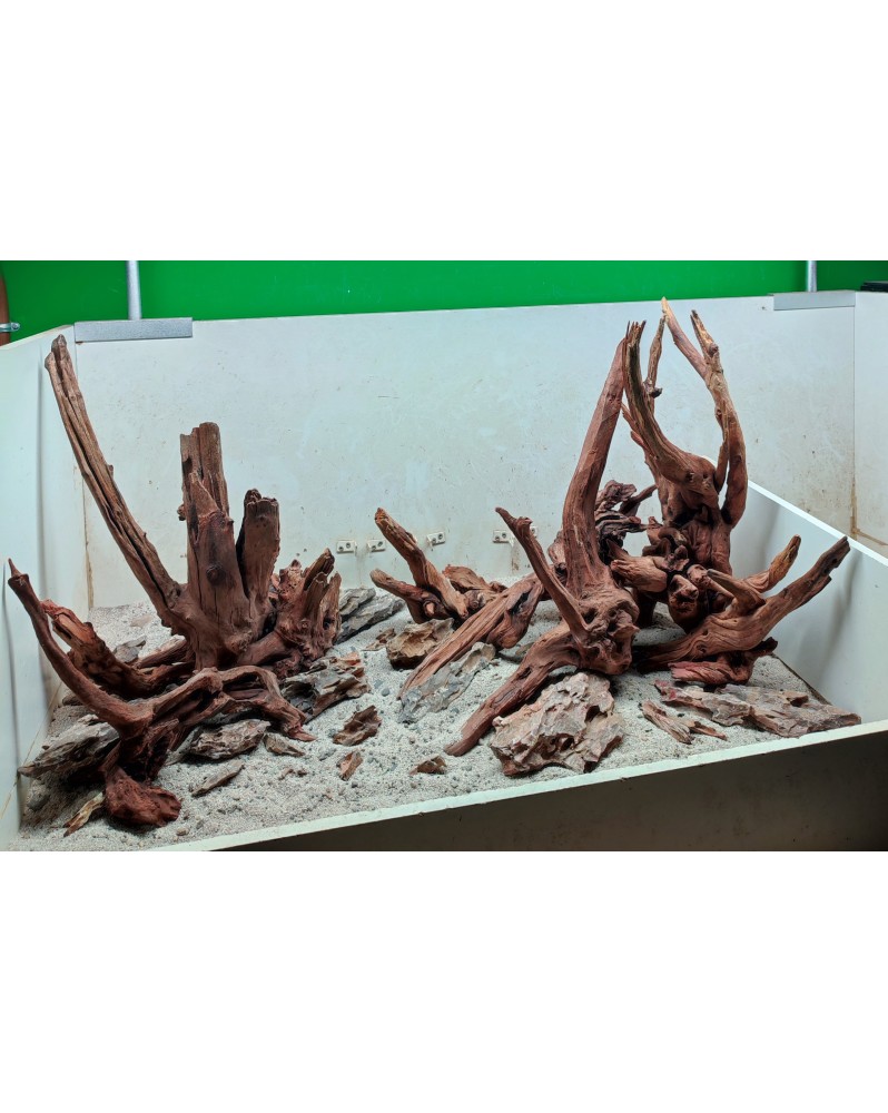 Hardscape Sur Photo - HS1 Hardscape sur photo HS-1. Composition à b...