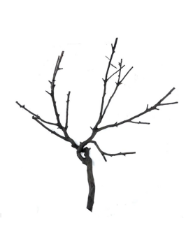 Riverest Shadow Wood racines 20-40 cm gris fonce