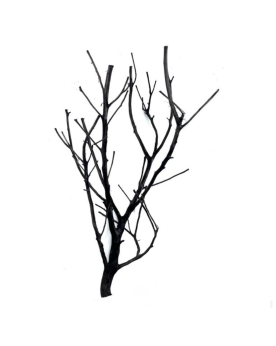 Riverest Shadow Wood racines 20-40 cm gris fonce