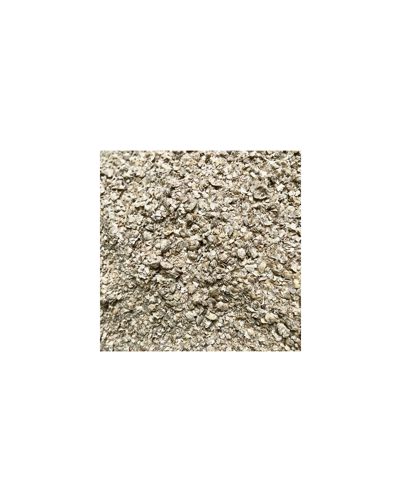 Snow Flakes poudre nourriture pour crevettes mycelium