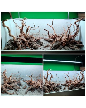 Hardscape sur photo sur commande Asia wood et Ohko stones