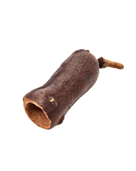 Gousse de Courbaril 5-9 cm - bois pour aquarium naturel