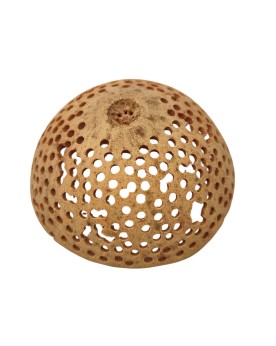 Demi noix de coco trouee pour aquarium