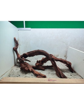 Racines Driftwood sur photo base 60x36 cm