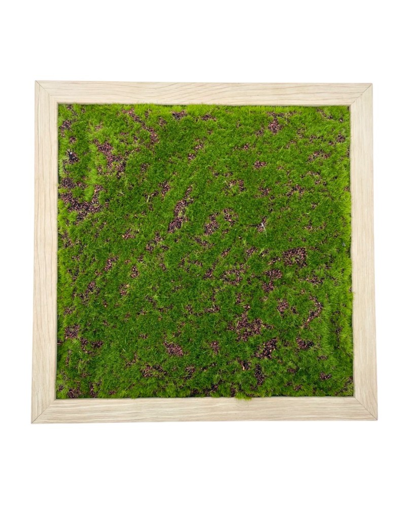 Cadre decoratif imitation bois mousse artificielle 30x30 5 cm