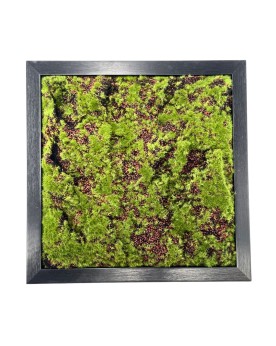 Cadre decoratif imitation bois mousse artificielle 30x30x5 cm