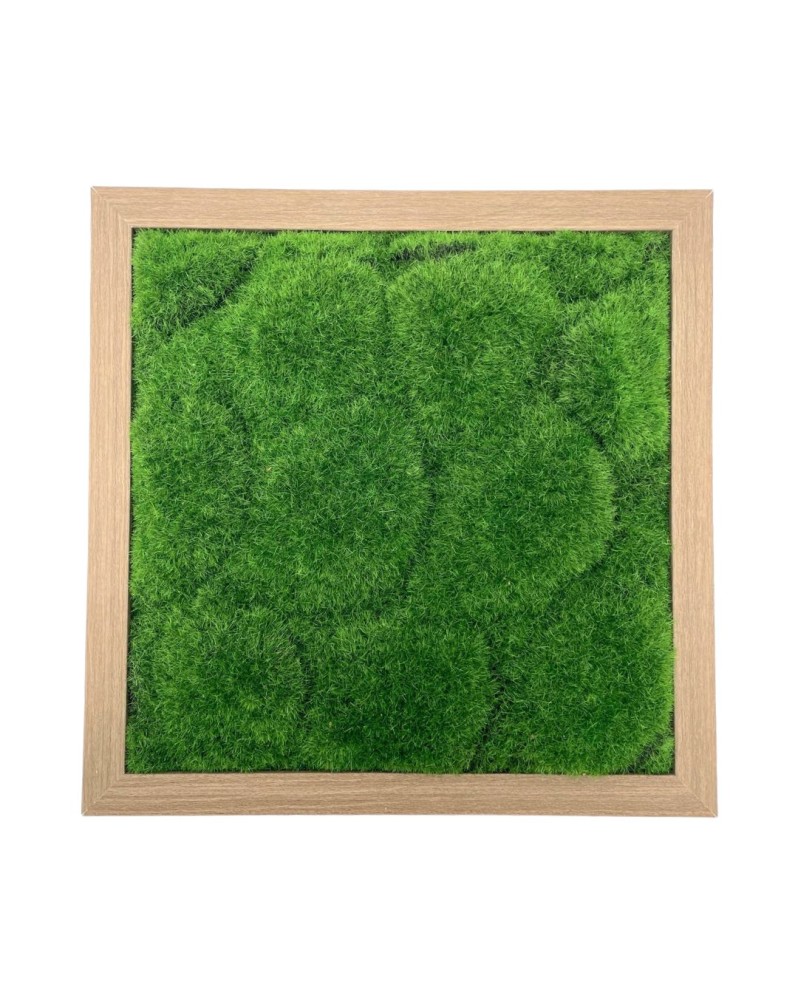 Cadre decoratif imitation bois 30 x 30 cm mousse centrale