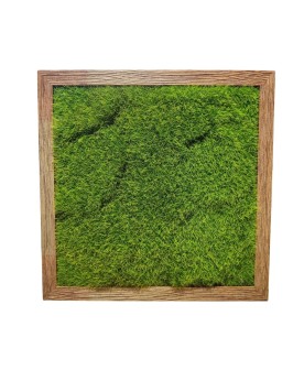 Déstockage - Cadre Végétal Artificiel - 40x40cm - Couleur Chêne Clair