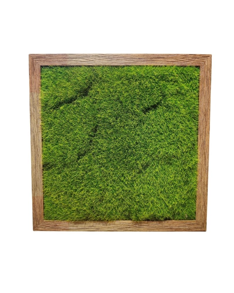 Cadre deco effet bois avec mousse artificielle 40x40x5 cm
