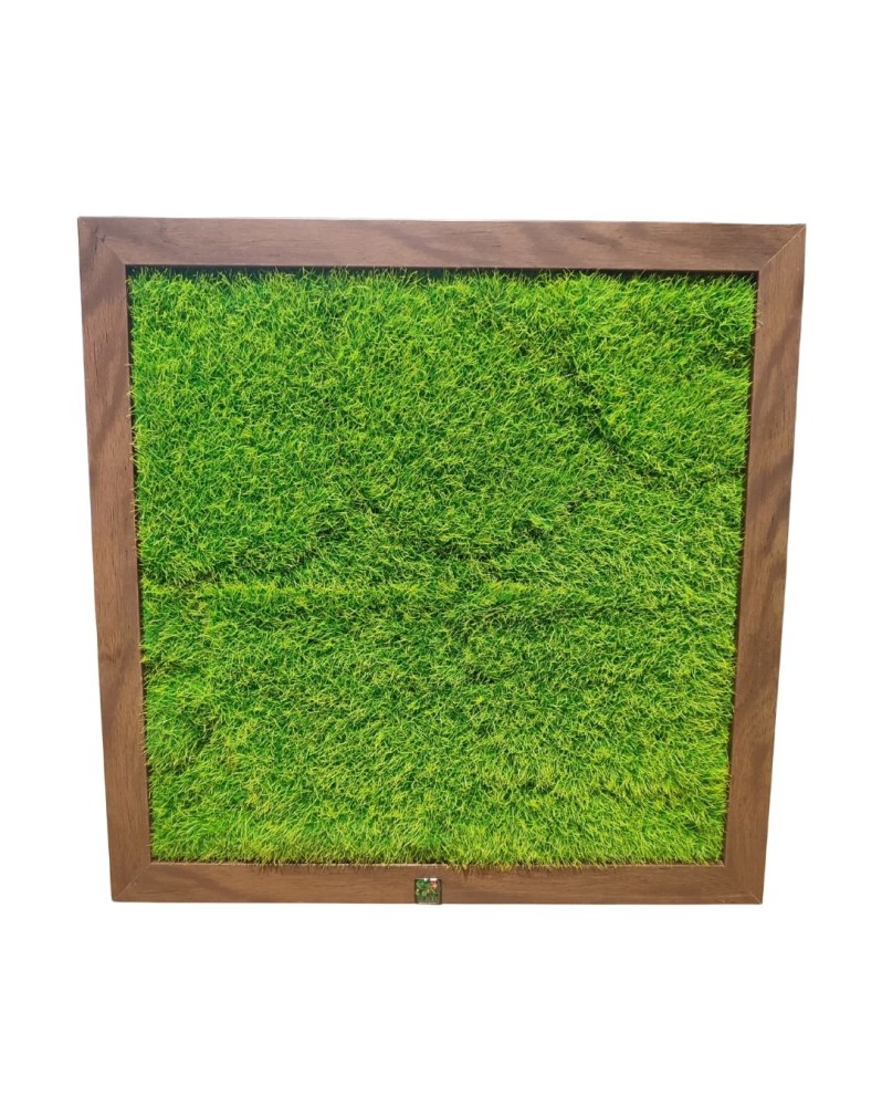 Cadre decoratif imitation bois 40 x 40 cm mur vegetal