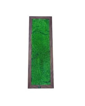 Déstockage - Cadre Végétal Artificiel - 60x20cm - Couleur Chêne Foncé
