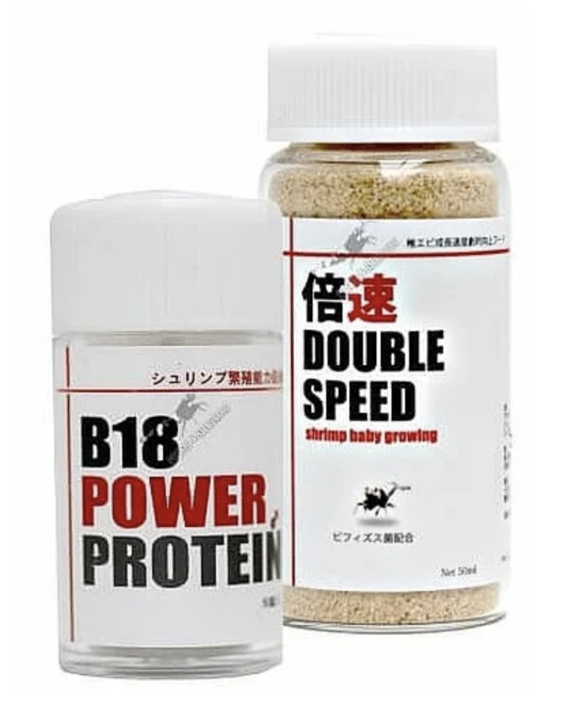 Lowkeys B18 + Double Speed