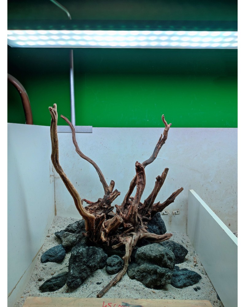 Photo Hardscape HS4 compo racines River Wood pierres Seiryu