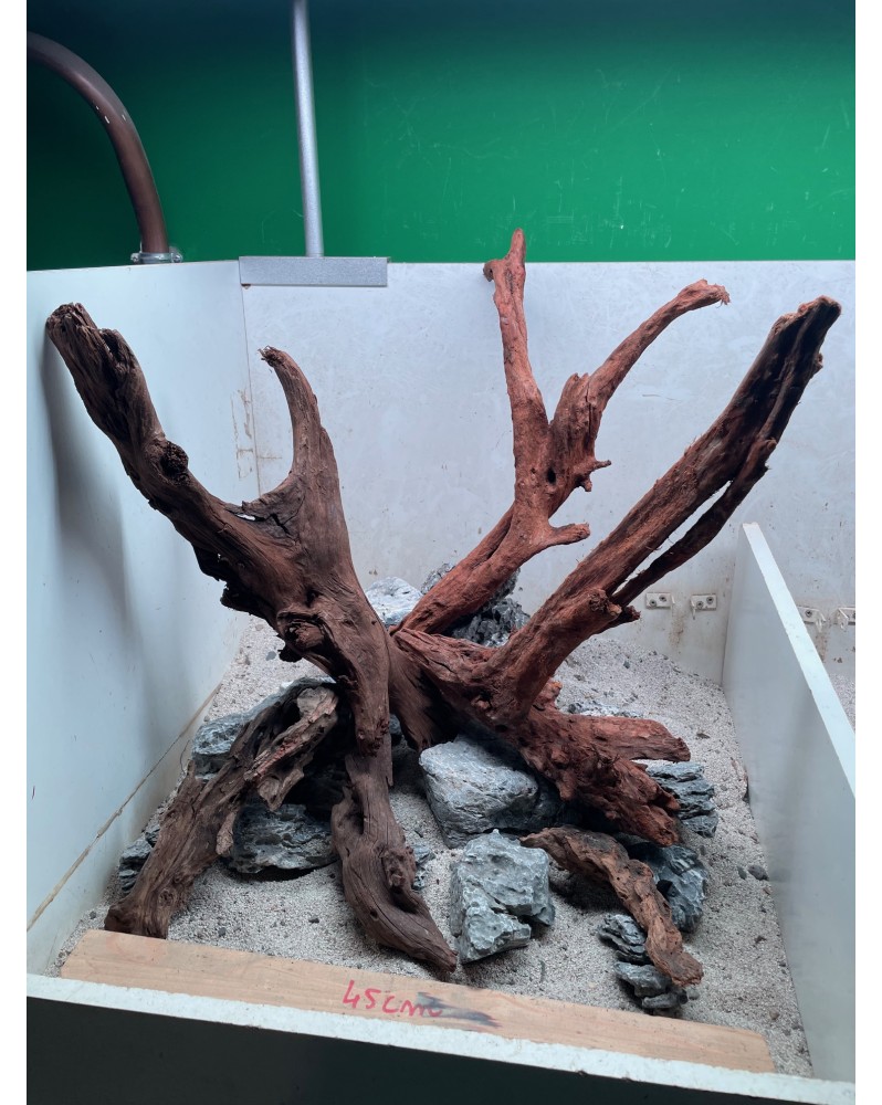 Hardscape HS10 driftwood et pierres Seiryu photo a sauvegarder