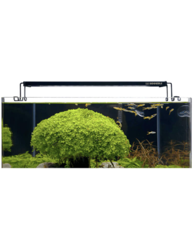 Dennerle Trocal Flat 35 Rampe LED 40-45 cm 2100 lm 6500K