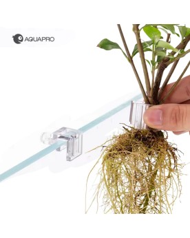 Aquapro support plante hydroponique taille M lot de 6