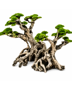 Bonsaï Tree Set - S - 25x17x14cm