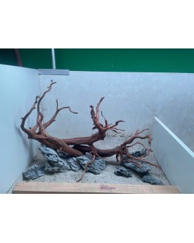 Hardscape HS10 reserve - dark snake wood et seiryu stones