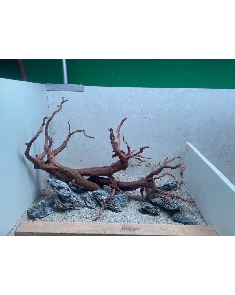 Hardscape HS10 reserve - dark snake wood et seiryu stones