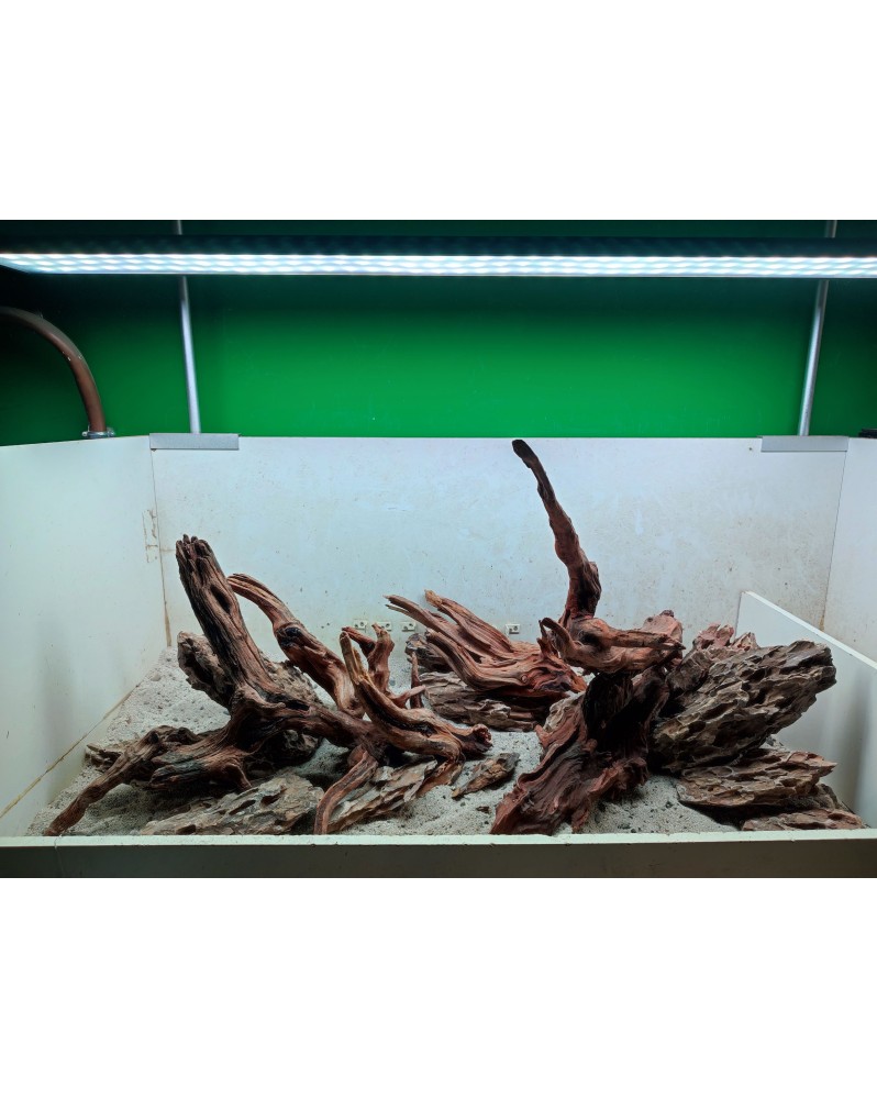 Hardscape HS 12 composition River Wood et Ohko Stones 90x45 cm