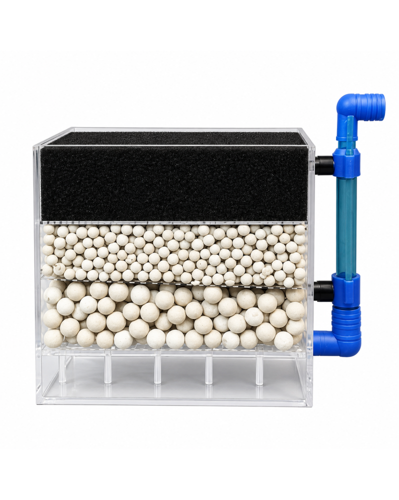 Gei Lee Power Box filtre UGF sous soil aquarium crevettes