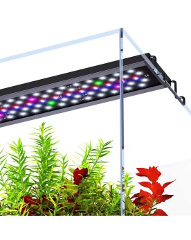 Rampe LED fixation pince aquarium planté plantes vertes et rouges