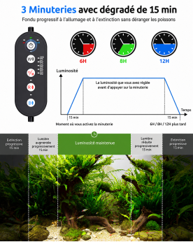 Timer 3 modes 6h 8h 12h fondu progressif 15 minutes rampe LED aquarium