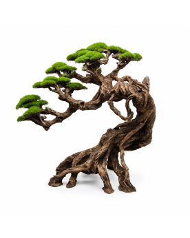 Cliff Gusong Bonsaï - 23x24x14cm