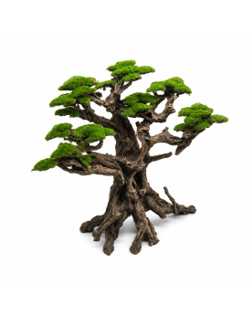 Forest Bonsaï Tree - 34x37.5x18cm
