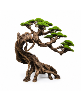 Cliff Gusong Bonsaï - 50x42x24cm