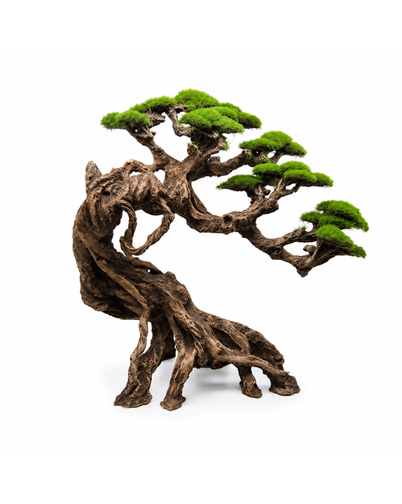 Cliff Gusong Bonsai 50x42x24 cm - decor aquarium
