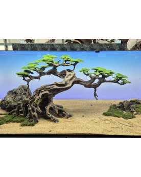 Piaozhi Bonsai resine 34x19x12 cm - inerte mousse non incluse