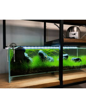 Aquarium Air By Skaii 60x20x20cm ultra clear surélévé 3cm planté