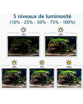 5 niveaux de luminosité rampe LED aquarium de 10% à 100%