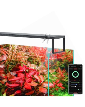 Chihiros WRGB2 Slim LED 45 a 60 cm pour aquarium plante