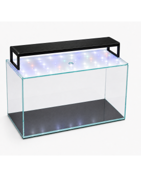 Kit Aquarium 38L Ultra Clear Pro By Skaii – Chihiros WRGB2 Slim