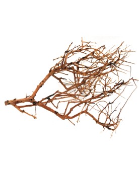 Drifwood "Branch" max 30cm Drifwood "Branch" max 30cm