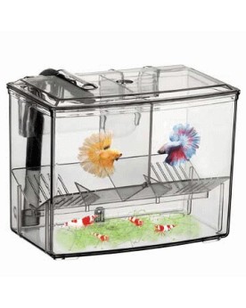 Breeding Box  Externe 1.25L