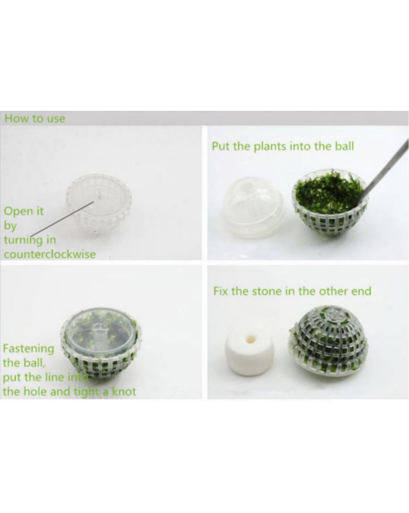 Dome support pour creer une boule de mousse