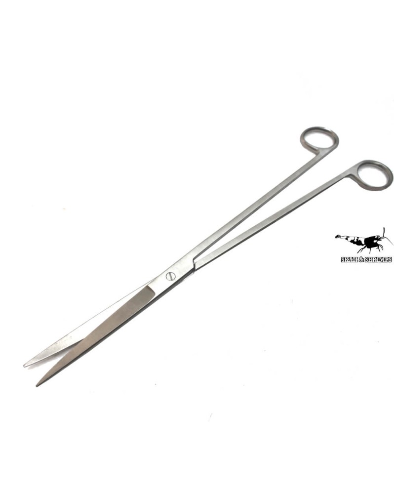 Pro Trim Scissor 25 cm droit (inox)