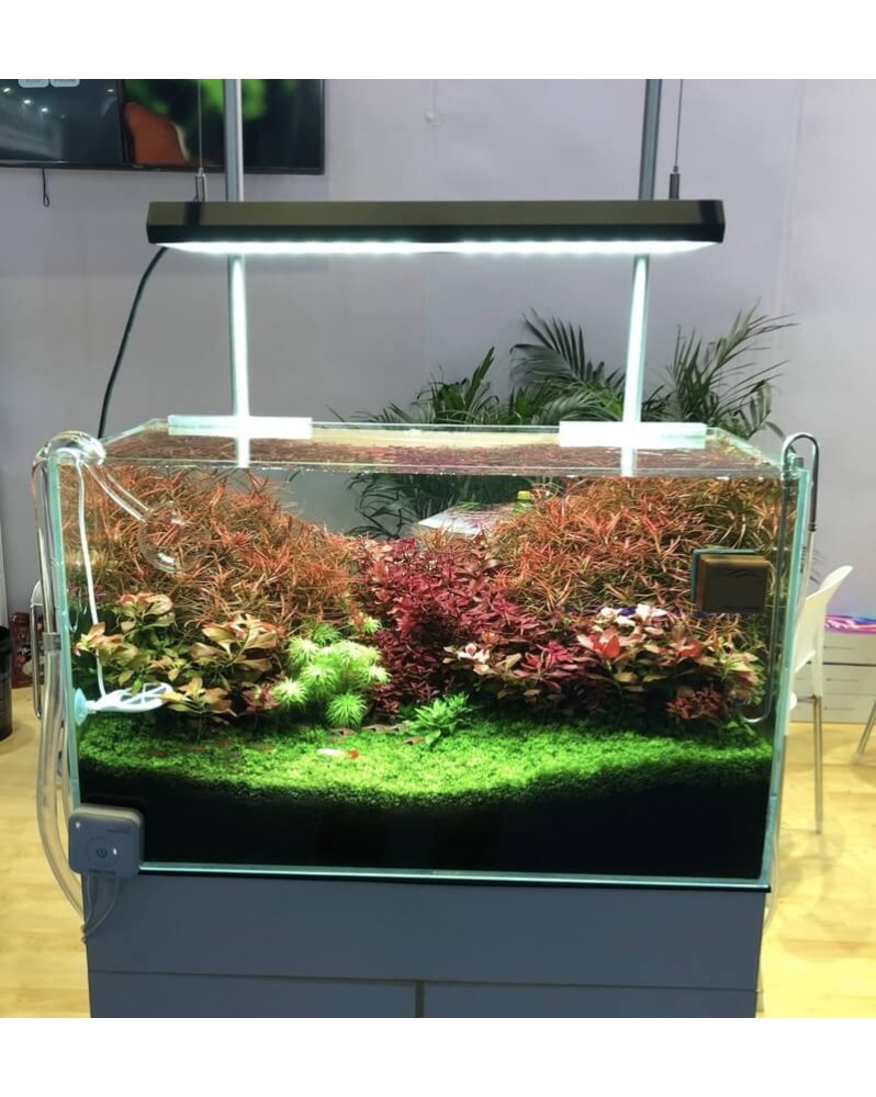 Chihiros RGB Vivid II 130W pour aquarium