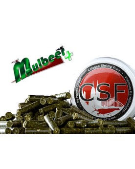 Maulbeer + Maulbeer +